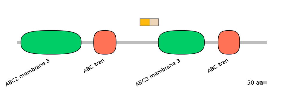MmuINT0008121-EXC