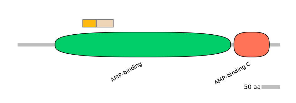 MmuINT0010179-EXC