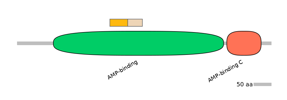 MmuINT0010181-EXC
