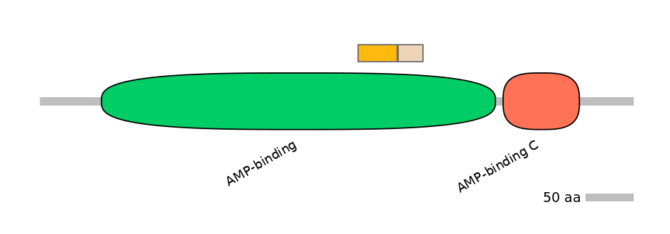 MmuINT0010257-EXC