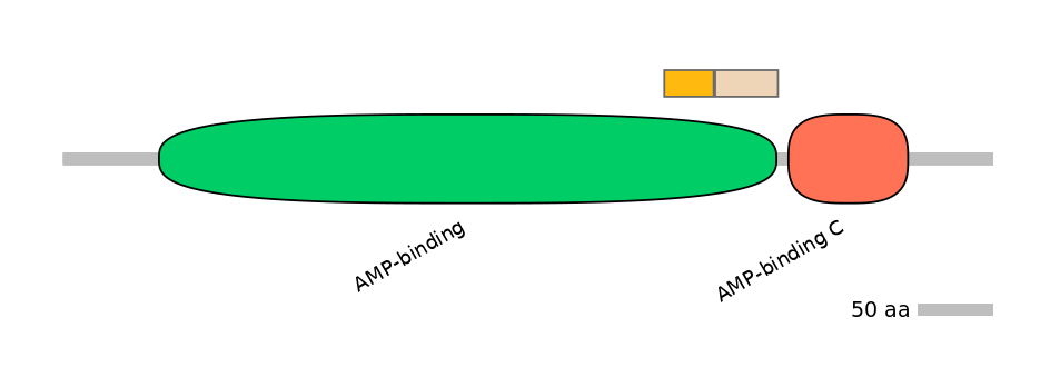 MmuINT0010259-EXC