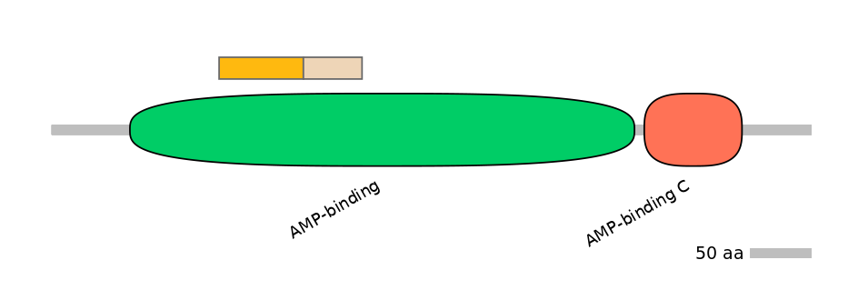 MmuINT0010265-EXC