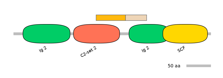 MmuINT0012629-EXC