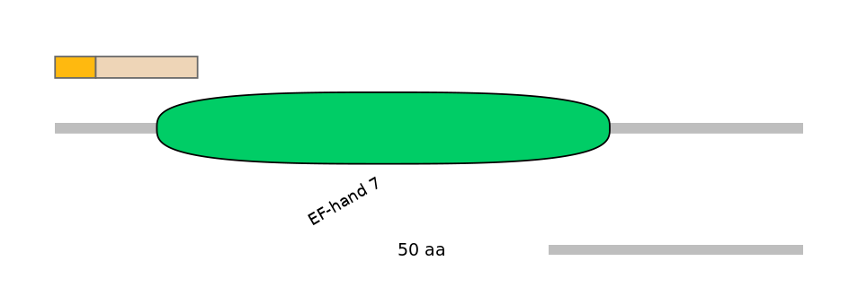 MmuINT0013100-EXC