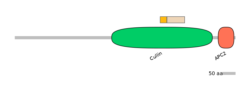 MmuINT0014917-EXC