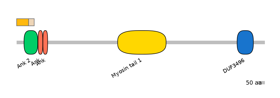 MmuINT0015535-EXC