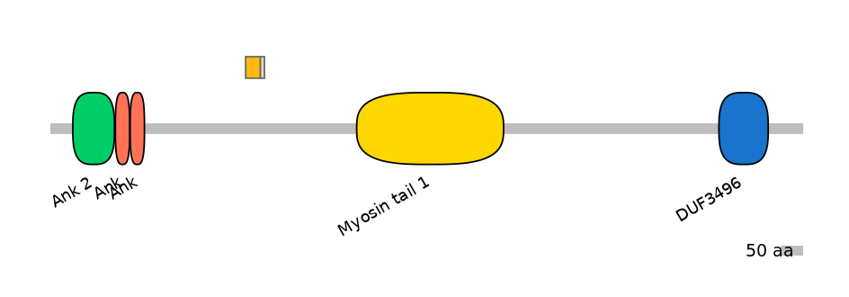 MmuINT0015539-EXC