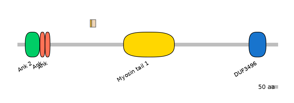 MmuINT0015540-EXC