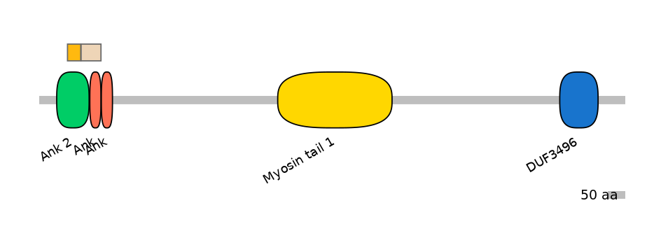 MmuINT0015546-EXC