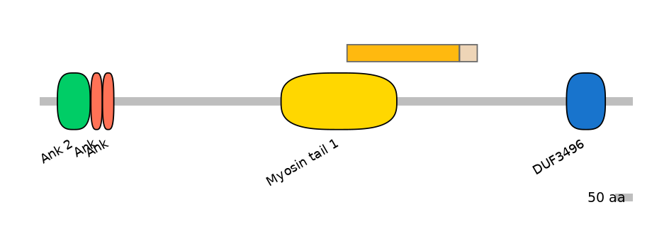 MmuINT0015551-EXC