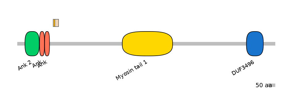 MmuINT0015564-EXC