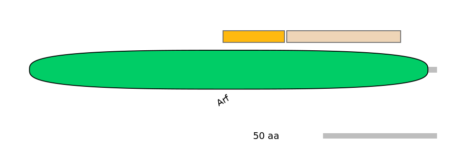 MmuINT0018941-EXC