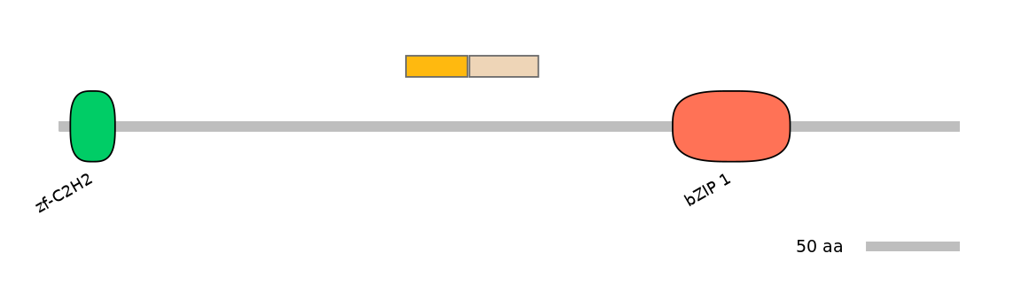 MmuINT0020290-EXC