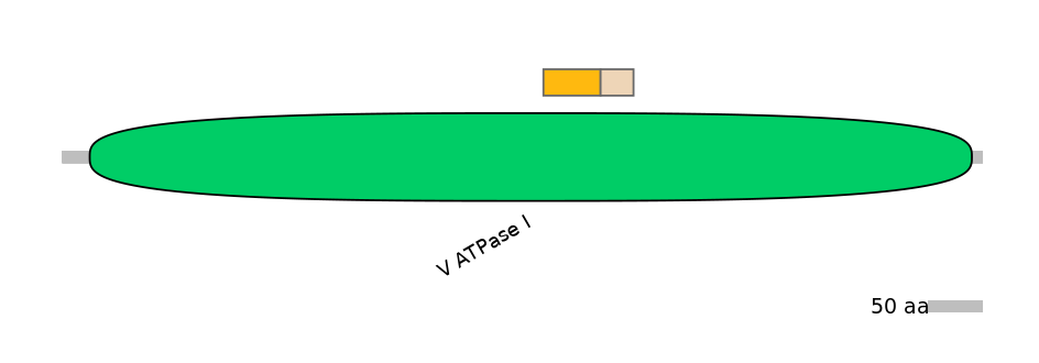 MmuINT0021477-EXC