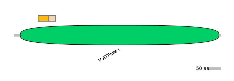 MmuINT0021489-EXC