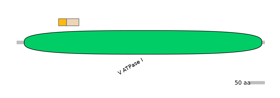 MmuINT0021490-EXC