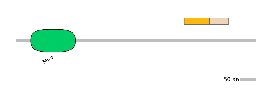 MmuINT0022517-EXC