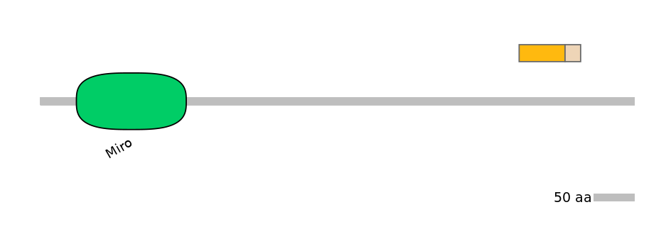 MmuINT0022518-EXC