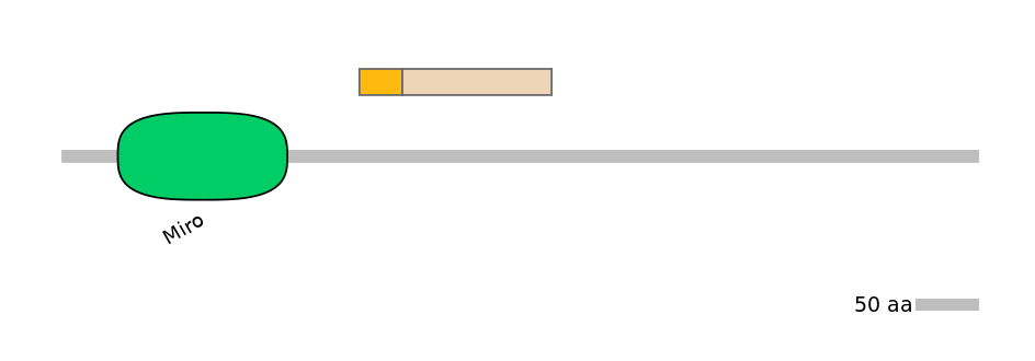 MmuINT0022526-EXC