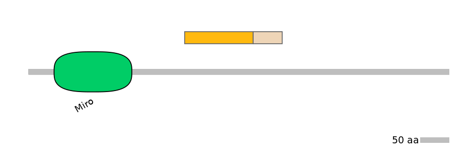 MmuINT0022527-EXC
