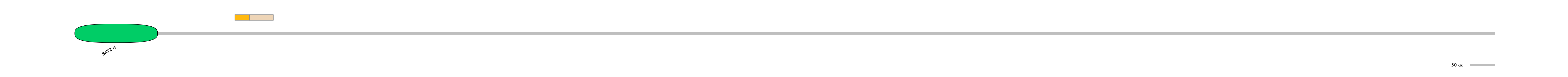 MmuINT0024009-EXC