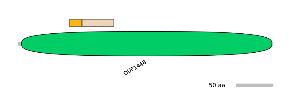 MmuINT0024235-EXC