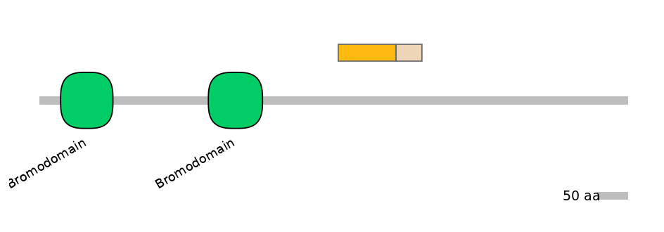 MmuINT0025748-EXC