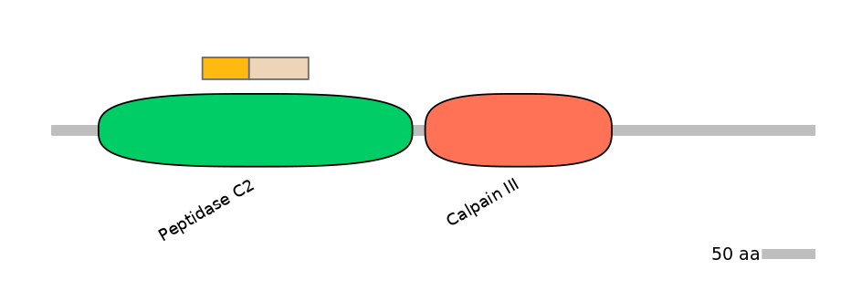 MmuINT0028702-EXC