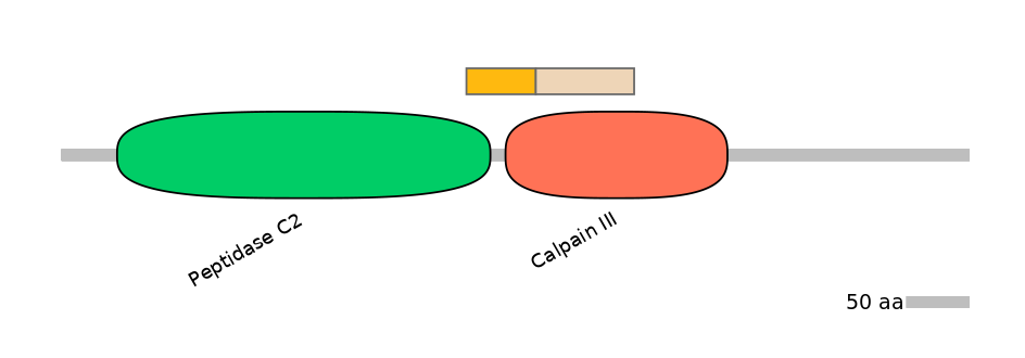 MmuINT0028707-EXC