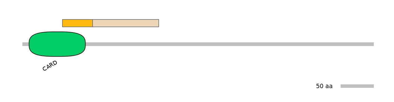MmuINT0029134-EXC