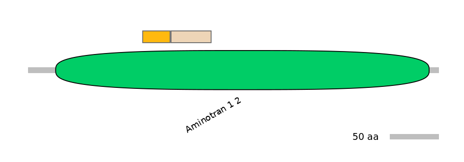 MmuINT0030005-EXC
