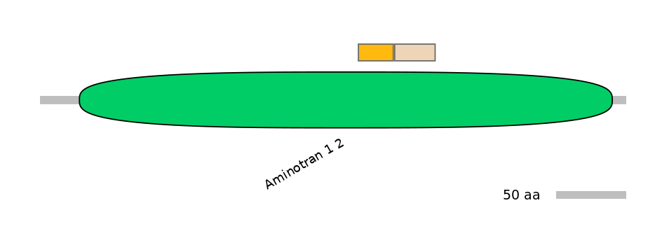 MmuINT0030008-EXC