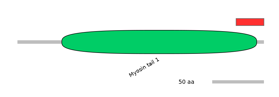 MmuINT0030399-INC