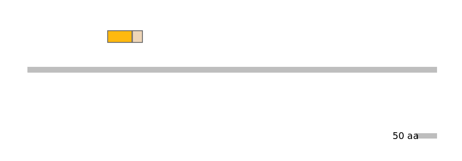 MmuINT0030417-EXC