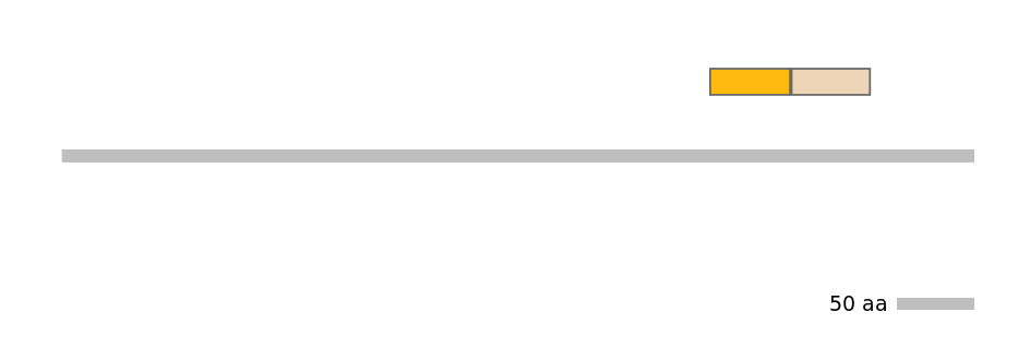MmuINT0030496-EXC