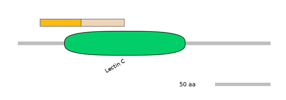 MmuINT0032267-EXC