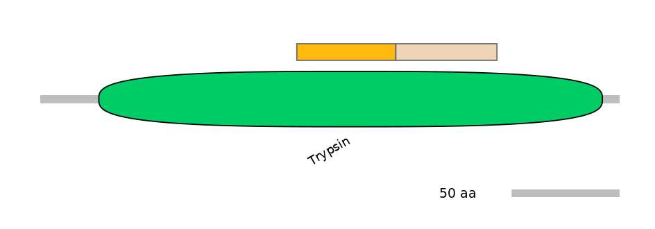 MmuINT0034155-EXC