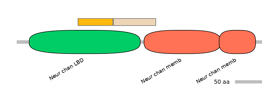 MmuINT0036207-EXC