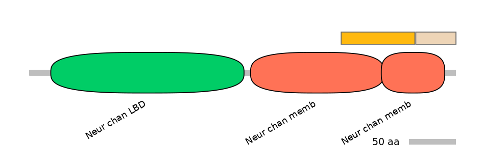 MmuINT0036210-EXC