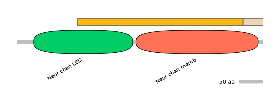 MmuINT0036220-EXC
