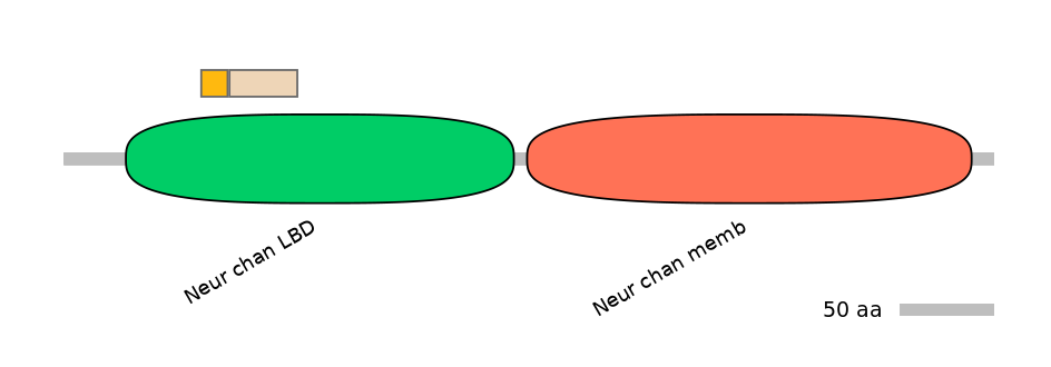 MmuINT0036238-EXC