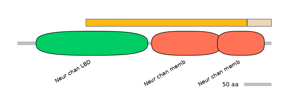 MmuINT0036272-EXC