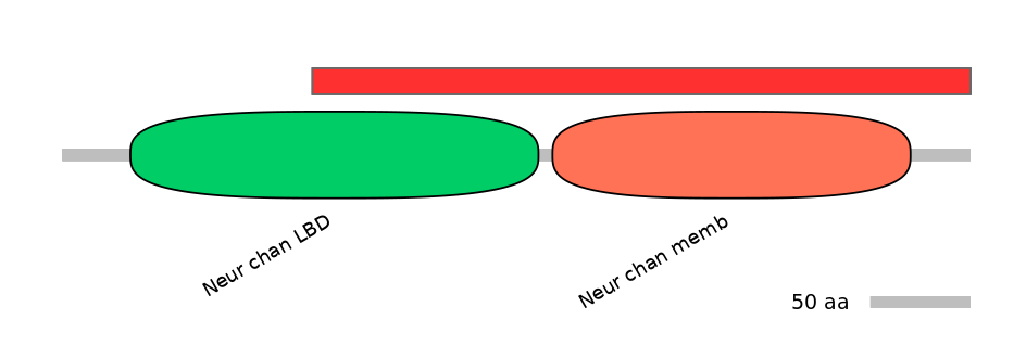 MmuINT0036272-INC