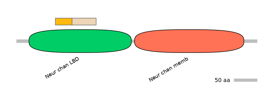 MmuINT0036285-EXC