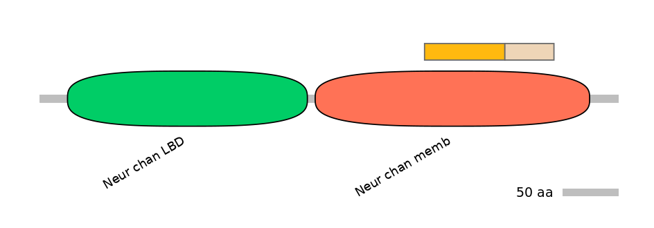 MmuINT0036303-EXC