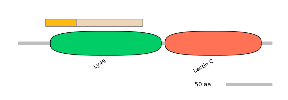 MmuINT0037122-EXC