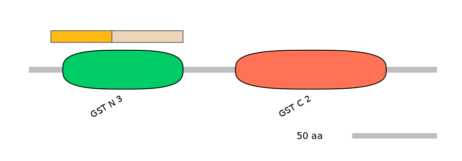 MmuINT0037294-EXC
