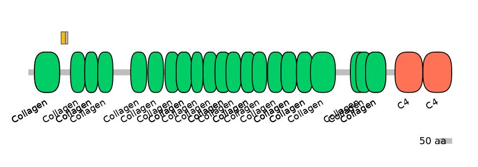 MmuINT0039921-EXC