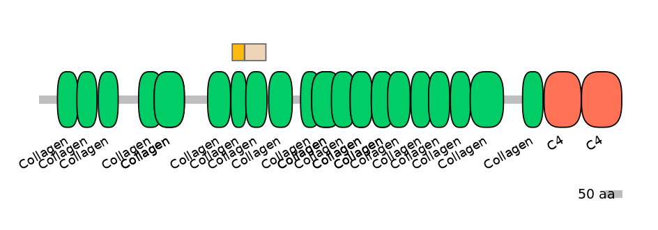 MmuINT0040056-EXC
