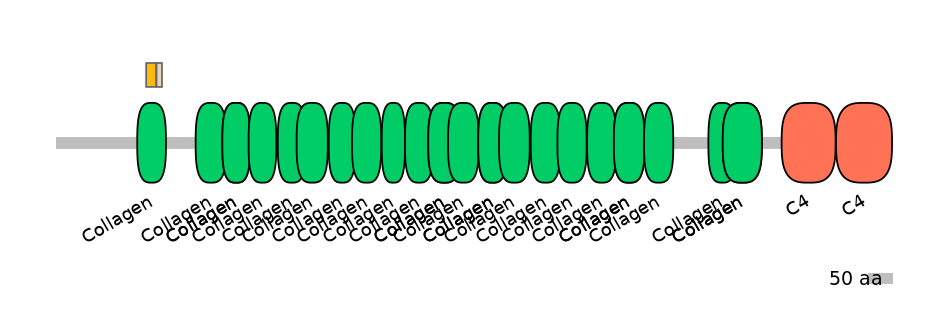 MmuINT0040089-EXC